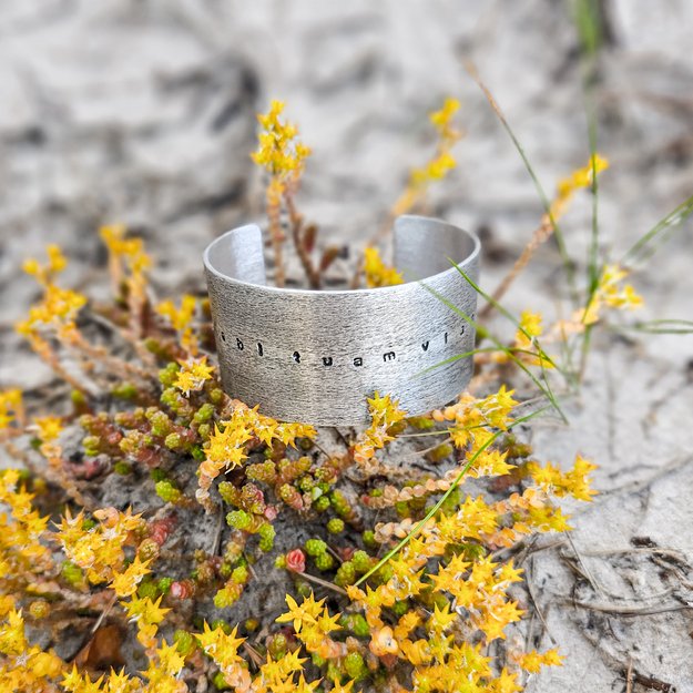 Plati metalinė apyrankė "abi tuam viam" 4